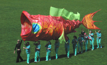 Image of participants in the 2005 Pacific School Games Opening Ceremony