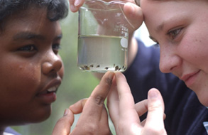 Two young students observing beaker with organisms