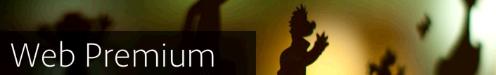 Adobe Web Premium CS 5.5 software product image