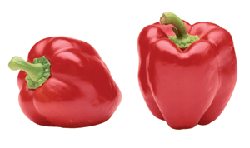 image capsicums