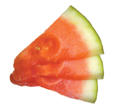 Snacks+for+children