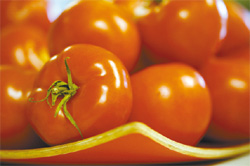 tomato