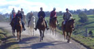Students horseriding down a country road