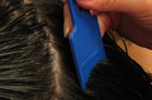 Combing out head lice