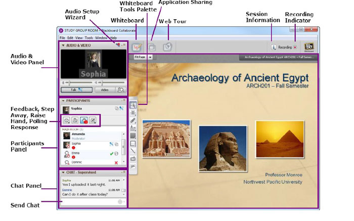 screen shot of BlackBoard web conference