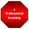 6 Professional learning