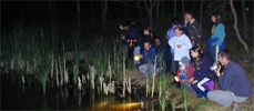 Photo of Commercial Rd PS students in the wetlands at night