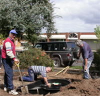 Photo of people engaged in outdoor digging work