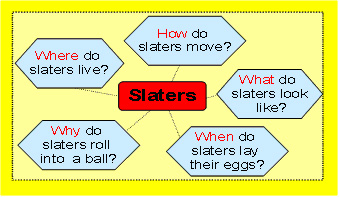 Various questions related to slaters