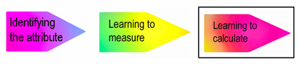 Measurement phases diagram