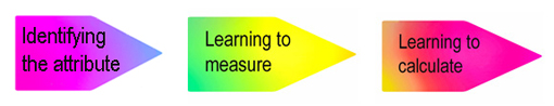 Measurement phases diagram