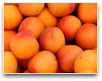 Apricots
