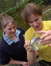 2 students with a beaker half full of water