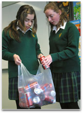 Sample image ALT text