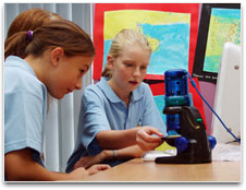 Students observing with a microscope