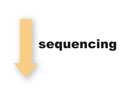 sequencing icon
