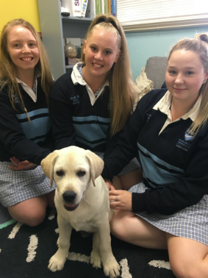 three primary girls sitting with a labriador