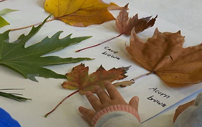 A child arranging leaves on a page