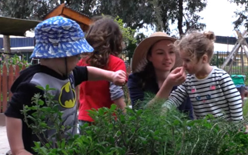 Group of children smeling plants in a garden