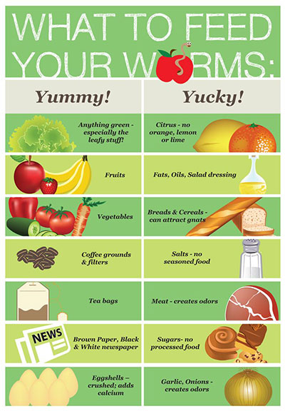 what to feed your worms poster with ingredients divided into yummy and yucky. Each ingredient is illustrated by a graphic/name