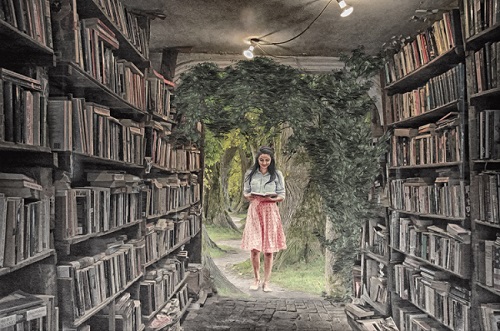   This image shows a teenage girl reading a book, walking out of a forest into an interconnected library. The image is used as a stimulus to illicit discussion and deconstruct the image with appropriate metalanguage.