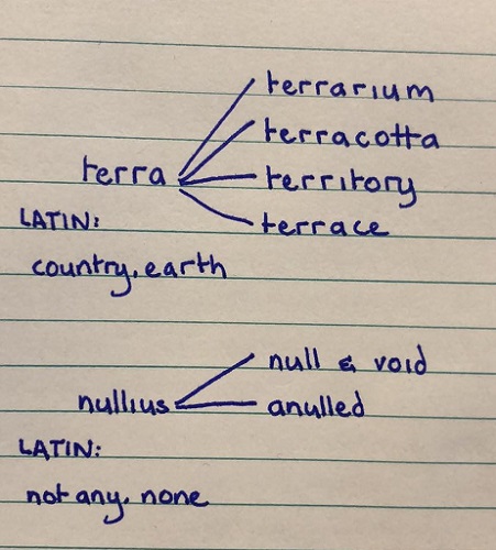 A student work sample listing vocabulary that is related to the Terra nullius. For terra (which is Latin for earth), the student has written terrarium, terracotta, territory and terrace. For nullius (Latin for not any, none), the student has written null and void, and annulled