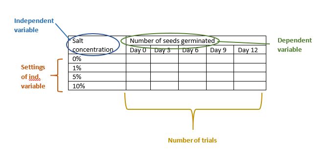 Science Experiment Procedure Template from www.education.vic.gov.au