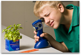 Grade 3/4 student taking digital photo of a small plant in a pot with a ruler