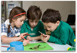 Students using a hand lens to observe a specimen and making a drawing of it.