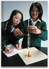 A burning peanut is being used to heat a test-tube containing water.
