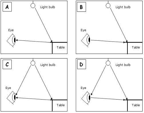 4 diagrams that could explain how we see objects