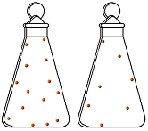 2 stoppered conical flasks containing different numbers of particles