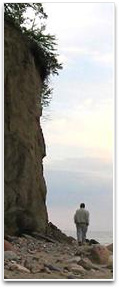 A 10m high cliff