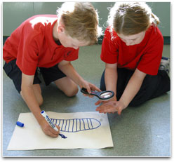 Student is holding a worm. The other is drawing his observations onto paper.