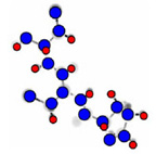 A complex molecule containing complex chemical bonds