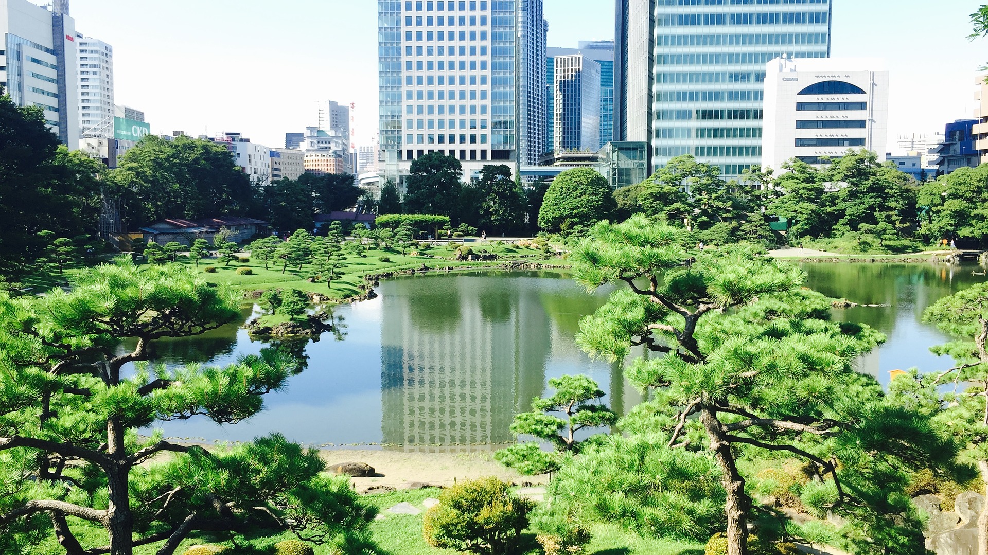 a photograph of a park garden in Tokyo, Japan. There is a large lake in the middle of the photograph, which is surrounded by trees. Buildings can be seen in the background.