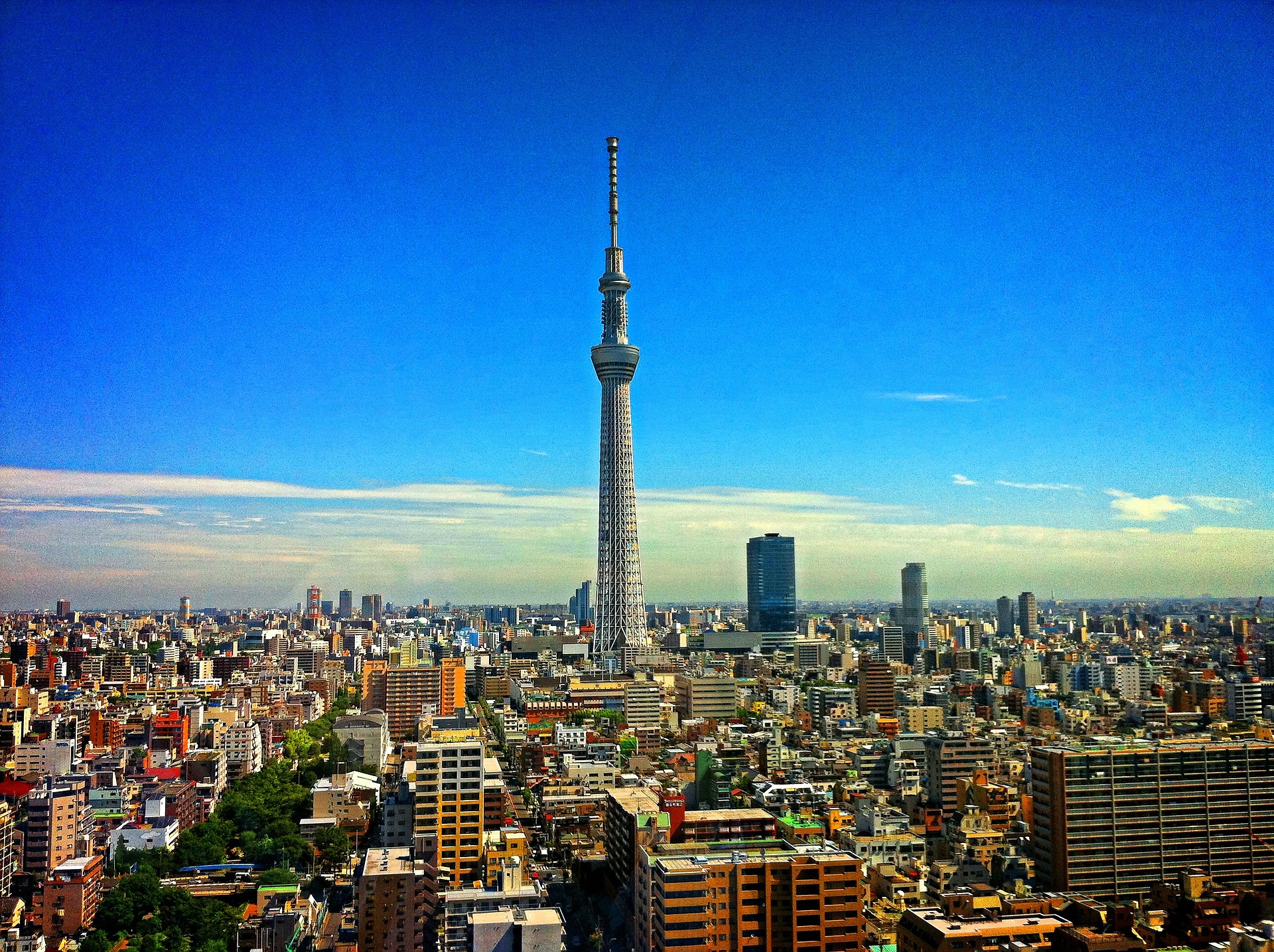 a photograph of Tokyo tower in Tokyo, Japan. The city is sprawled beneath the tower.