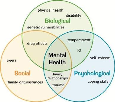 a Venn diagram about factors that contribute to mental health. It includes three circles: biological, social, and psychological. Social factors that contribute to mental health include peers and family circumstances. Biological factors include physical health and genetic vulnerabilities. A social-biological factor is drug effects.